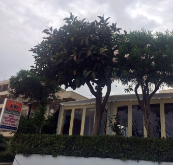 Stella-Marina-Ristorante-Pizzeria-Marina-Di-Gioiosa-Ionica (4)