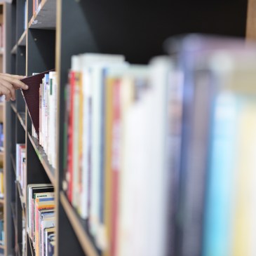 Biblioteca Comunale Mario Pellicano Castagna di Marina Di Gioiosa Ionica Img Libro