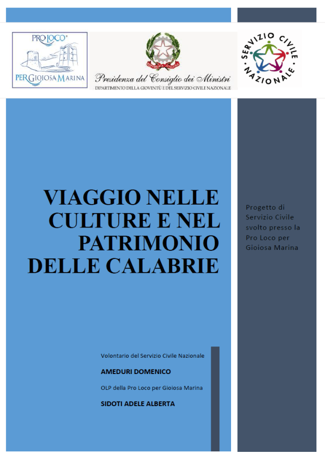 Copertina Tesi Ameduri